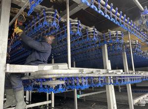 Air chiller, Foodmate, L 1.600m