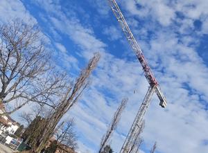 Terex Comedil CTT 51 Crane